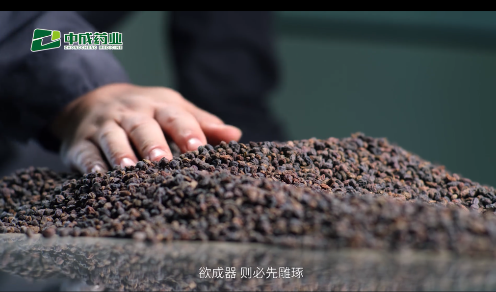 中成芪贞增免颗粒