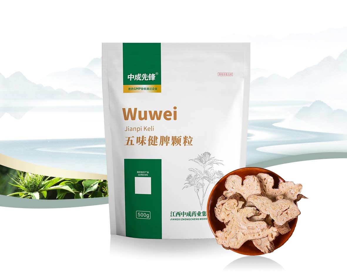 >五味健脾颗粒（先锋）