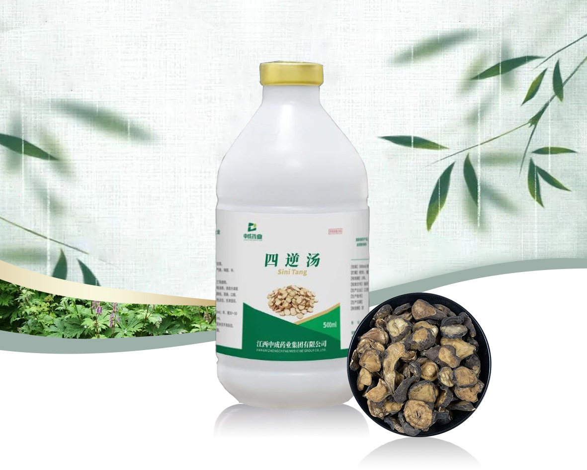 四逆汤（三宝）