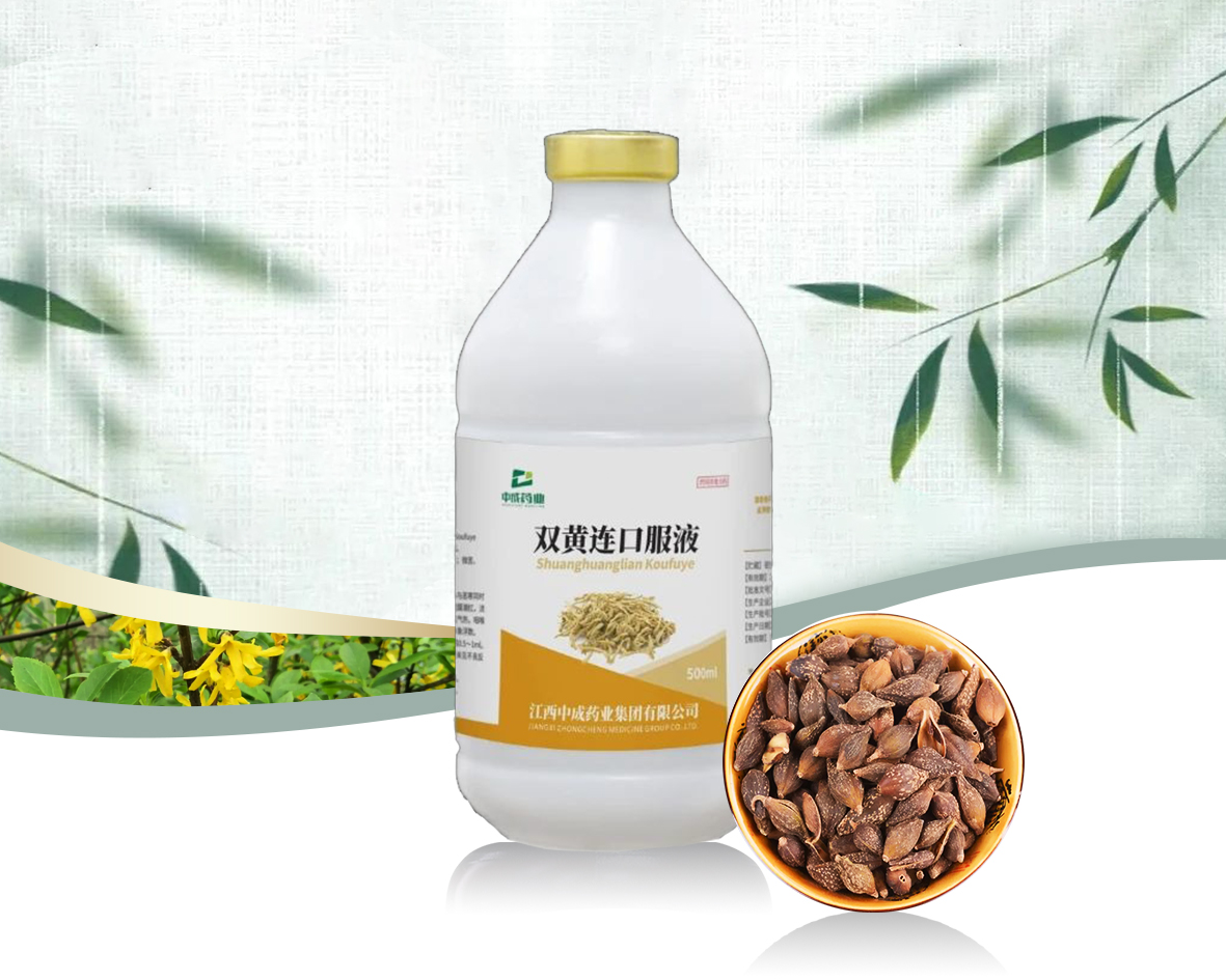 双黄连口服液（三宝）