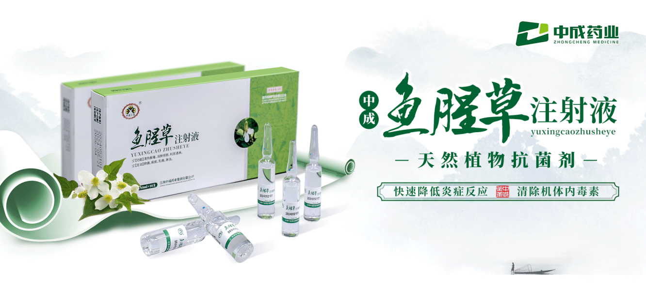 中成鱼腥草注射液